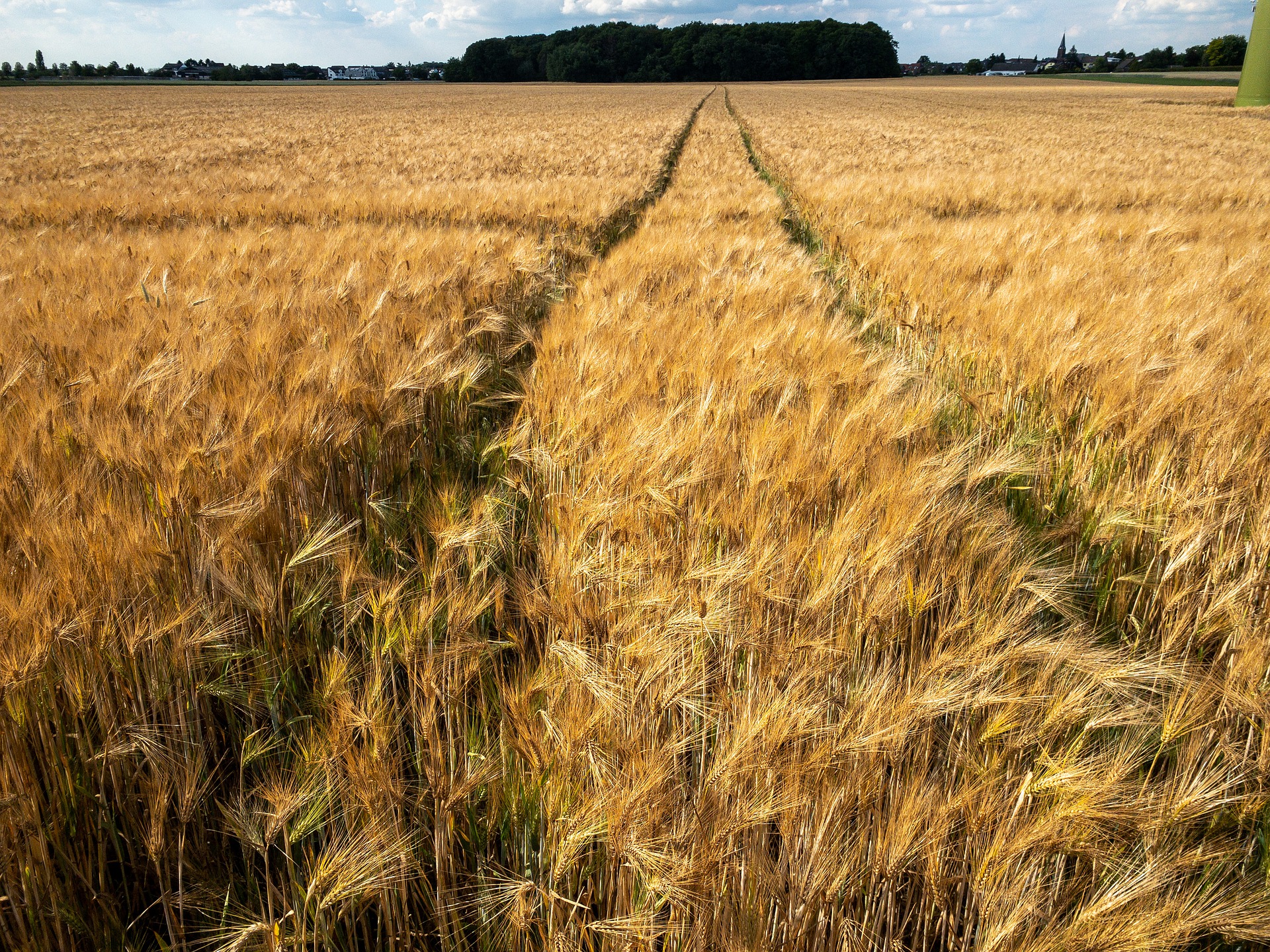Agrarsubventionen 2019: Wer kriegt wie viel?