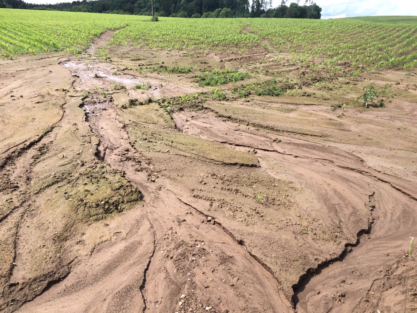 Artikel: Erstmals weltweiter Phosphorverlust durch Bodenerosion quantifiziert