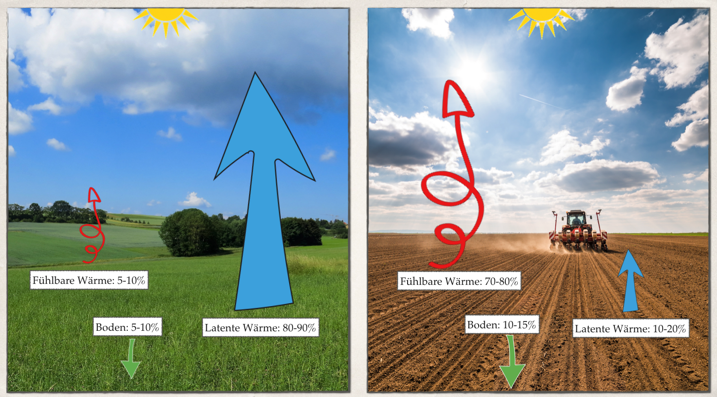 Am 8.6.2021 in der 6. Webinar-Reihe „Aufbauende Landwirtschaft“: Stefan Schwarzer – »Wasser pflanzen. Mit der Natur arbeiten, um das Klima durch Pflanzen, Böden und Wasser positiv zu verändern«